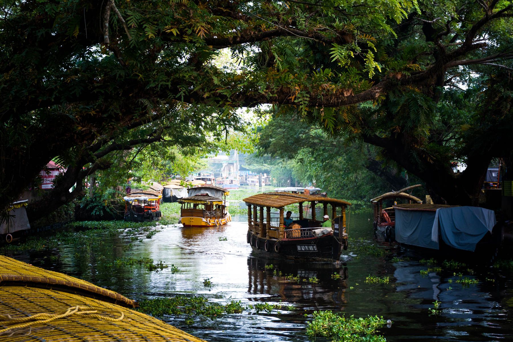 EXOTIC KERALA